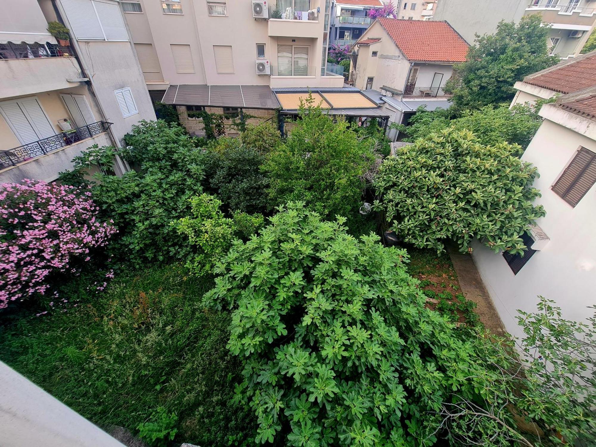 Apartments Pier Budva Rum bild